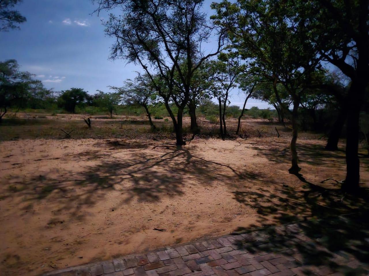 Kigeni Safari Lodge & Spa Vaalwater Buitenkant foto
