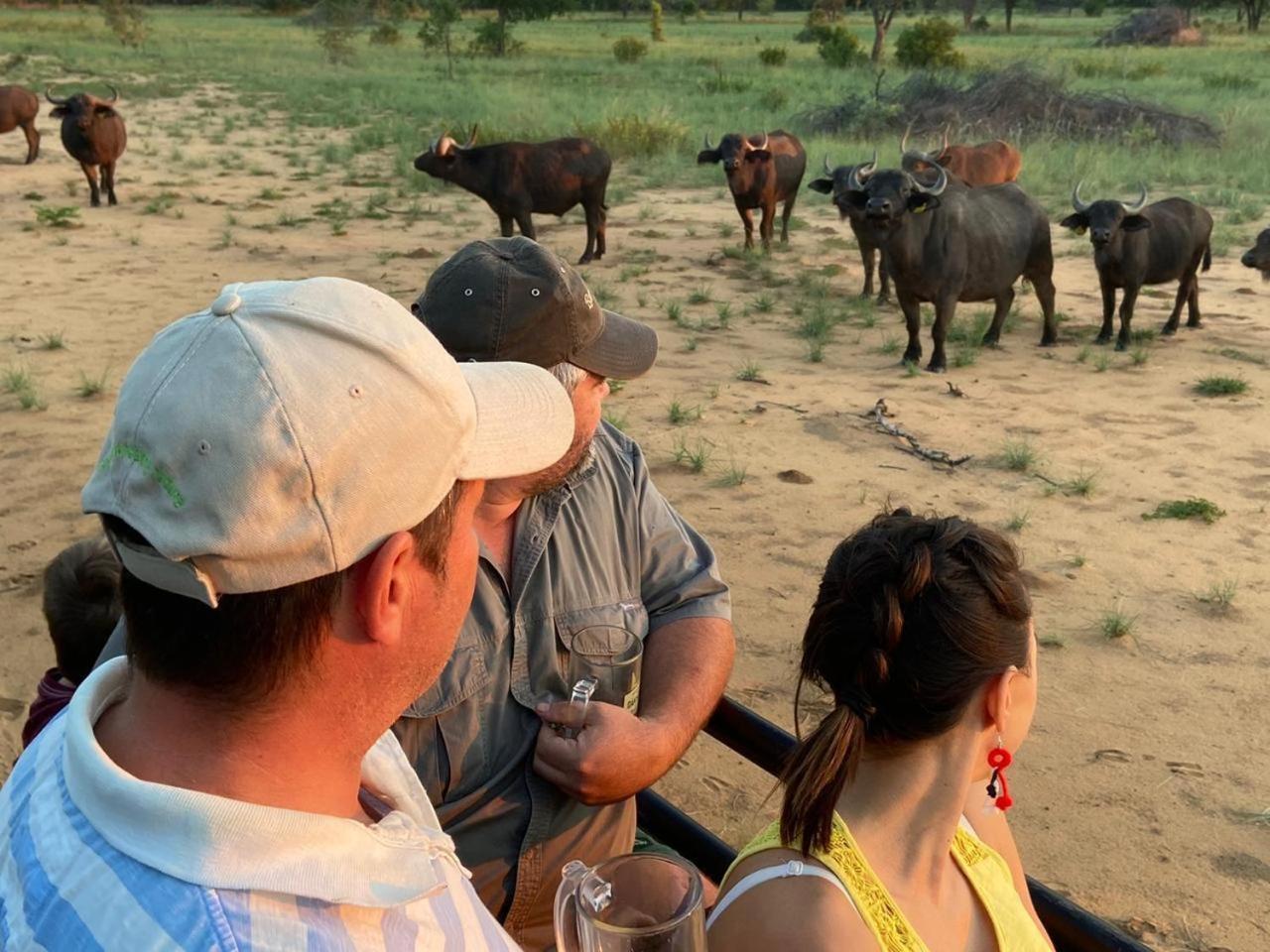 Kigeni Safari Lodge & Spa Vaalwater Buitenkant foto