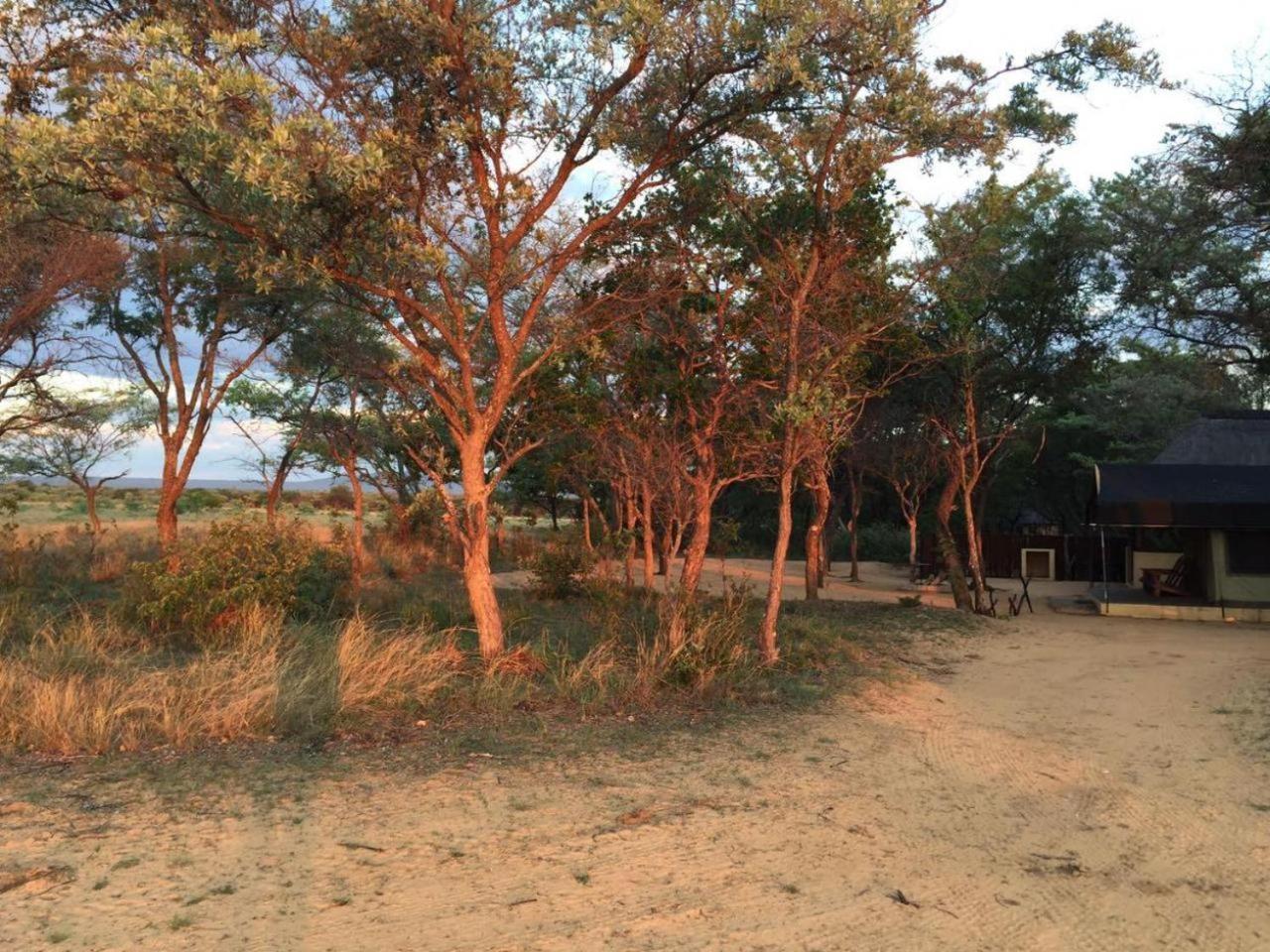 Kigeni Safari Lodge & Spa Vaalwater Buitenkant foto
