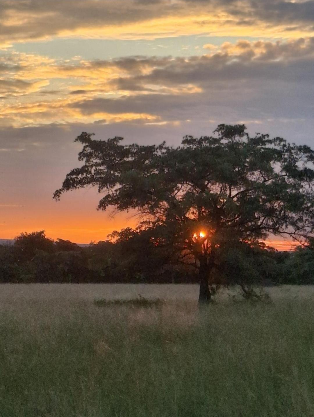 Kigeni Safari Lodge & Spa Vaalwater Buitenkant foto